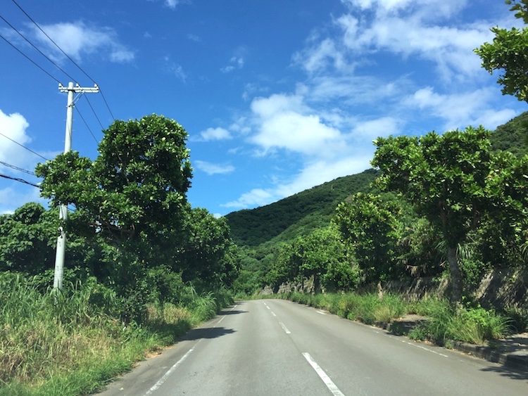 平久保崎灯台への道