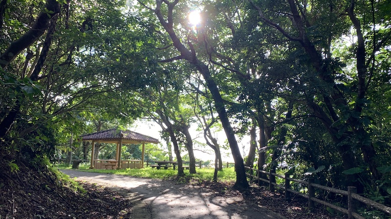 石垣島のバンナ公園